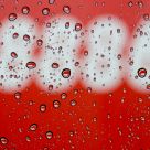 Raindrops