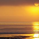 Waiting for the Sun II
