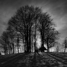 Polak Hill