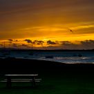 A Bench in the Sun