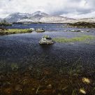 Scotland
