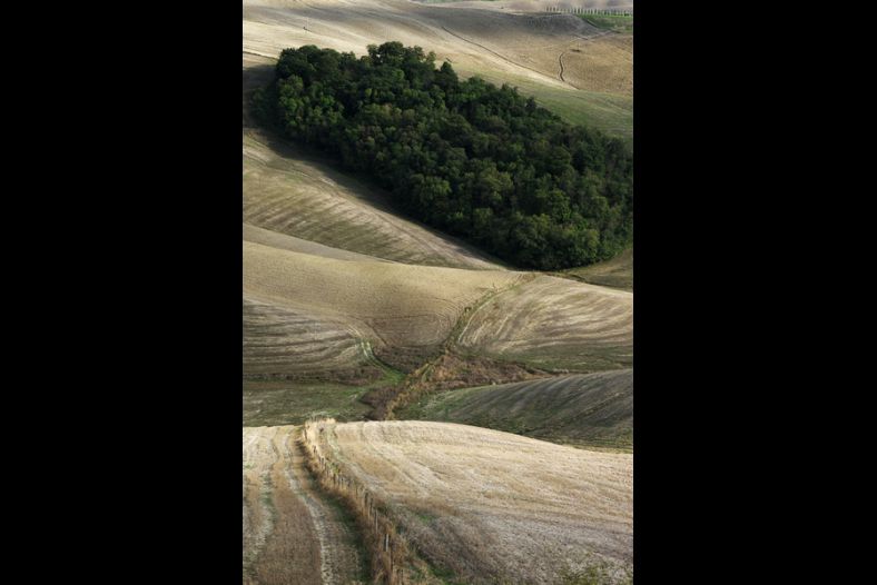 Tuscany 1