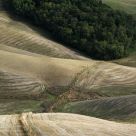 Tuscany 1