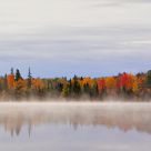 Grundy L Fog