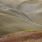 Tuscany 2