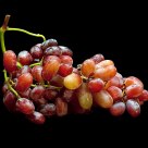 A Bunch of Grapes