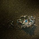 Jewels on the Sand