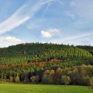 Indian Summer in the Eifel