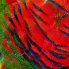 Feathered Finery
