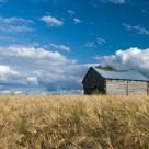 Barn
