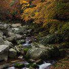 Seasonal Beauty