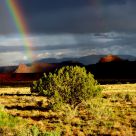 Rain/Bow