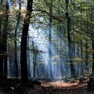 Parco Nazionale d'Aspromonte