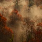 Rush Creek valley morning
