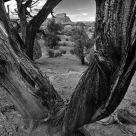 Open Range