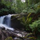 Curtain Falls