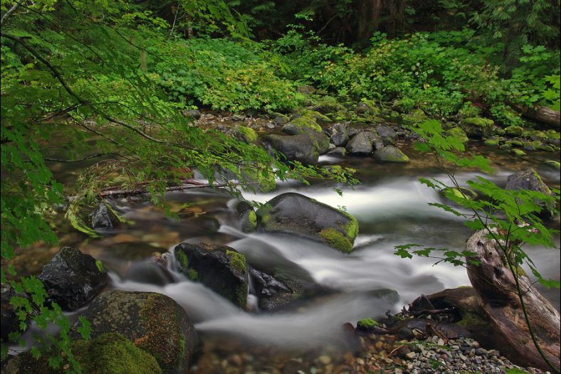 Still Creek