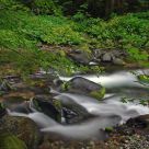 Still Creek
