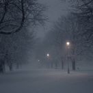 Narnia