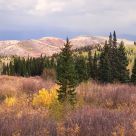 Autumn Revisited