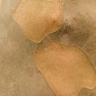 False cartography