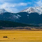 Grazing under the Rockies