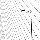 Lines