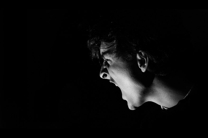 Shrieking portrait