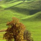 Hills