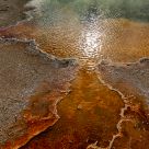 Primeval pool