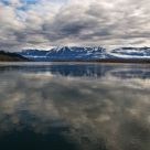 Reflections
