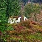 Old Villa