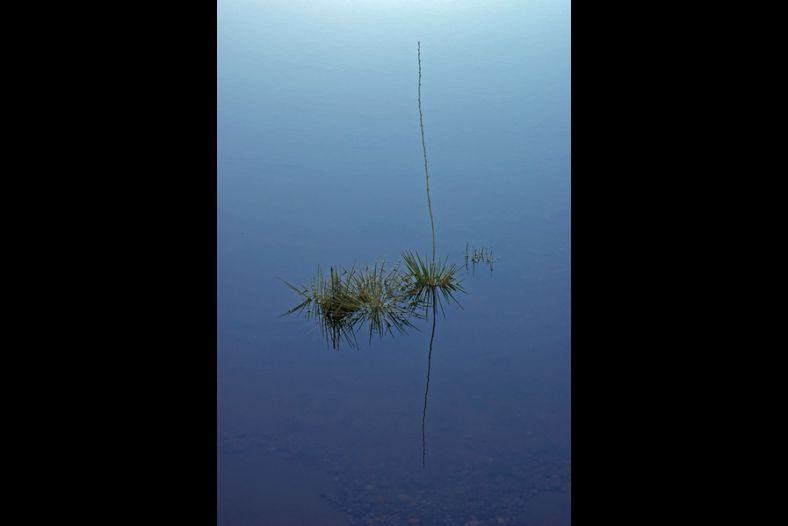 Desert Water