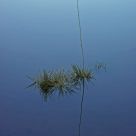 Desert Water