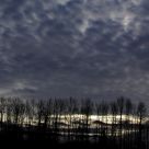 Grey Skies