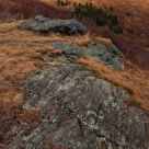 Black Balsam Knob