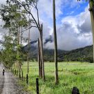 Near Arenal