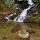 Flowing from the Clifford Tree Farm, In The Water
