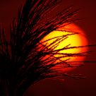 Big sun..