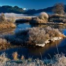Autumn Frost