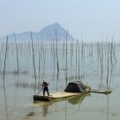 Oyster Farmer