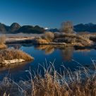 Reflective Blues