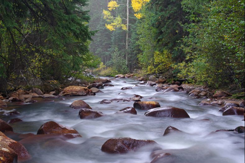 Geneva Creek