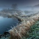 Green  Mist
