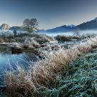 Morning Frost