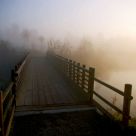 The bridge