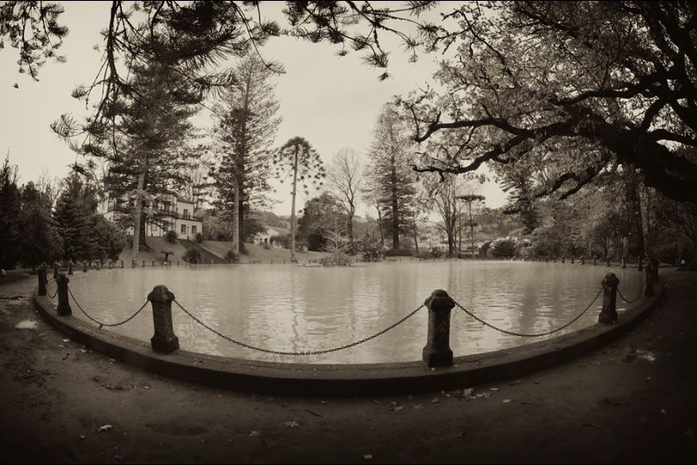 Oasis