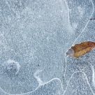 El final del OtoÃ±o