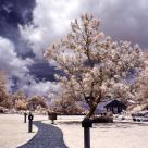 The Manor in IR
