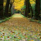 Secret passage
